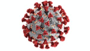 COVID-19 (Coronavirus) Related